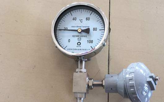 双金属温度计WTYY-1021 双金属温度计WTYY-1021