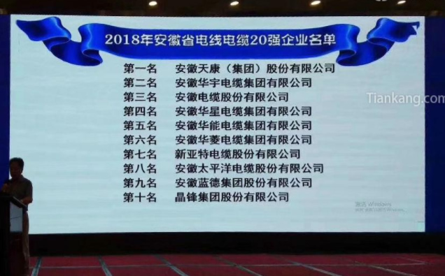 2018安徽线缆行业最具竞争力企业20强 2018安徽线缆行业最具竞争力企业20强